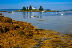 Pumpkin Island Lighthouse at Low Tide in Maine